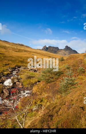 Looking up towards the The Cobbler mountain in the Arrochar Alps, Scotland Stock Photo