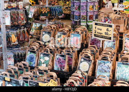 Amsterdam, Netherlands - August 1, 2016: Seeds in flower market in Amsterdam Stock Photo