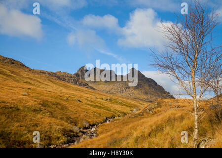 Looking up towards the The Cobbler mountain in the Arrochar Alps, Scotland Stock Photo