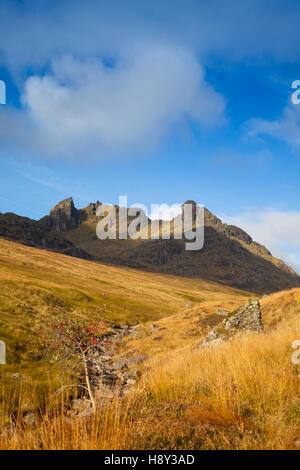 Looking up towards the The Cobbler mountain in the Arrochar Alps, Scotland Stock Photo