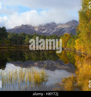 Beinn Eighe and Loch Coulin, Torridon, Wester Ross, Highland, Scotland.  Autumn Stock Photo