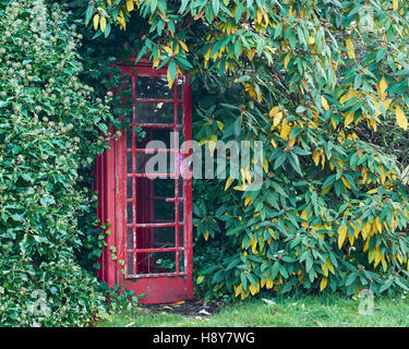 Old broken and overgrown telephone box. Stock Photo
