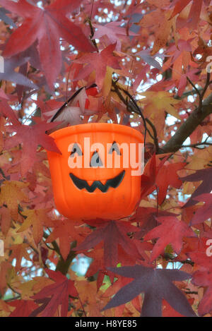Trick Or Treat Pumpkin Bucket hanging in autumn coloured tree. UK Stock Photo