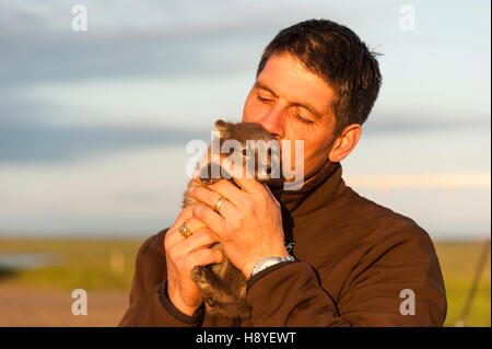 A man holding an Arctic fox (Vulpes lagopus) cub Stock Photo