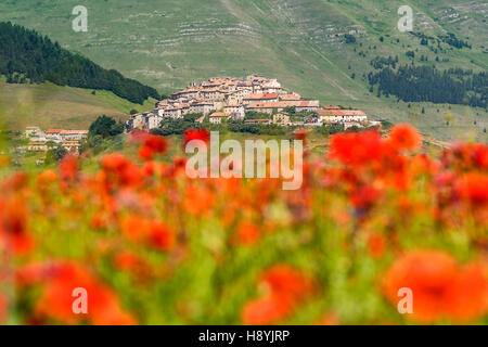 Castelluccio di Norcia, Umbria, the green heart of Italy. The flowering magic that blooms every year between June and July. Stock Photo