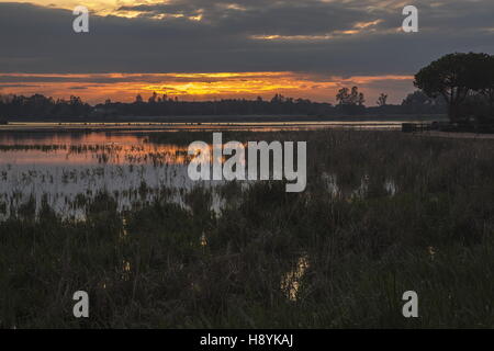 Coto Donana Natural Park: Sunset over Lagoon at El Rocio, Andalucia, Spain. Stock Photo