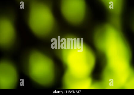 Green overlay background of green lights with bokeh effect. Includes copy space. Stock Photo