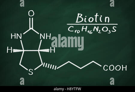 Structural model of Vitamin B6 (Biotin) on the blackboard. Stock Photo