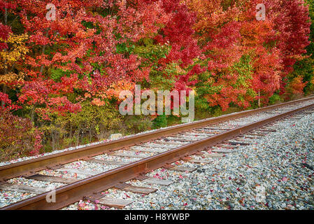 Railroad tracks along colorful autumn foliage trees Stock Photo - Alamy