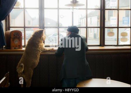 Old man and his dog looking out of the window of a pub in Coachford, Ireland. Stock Photo