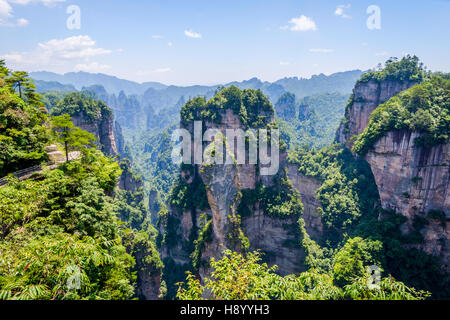 View over tall sandstone columns and formations in Zhangjiajie national park, Hunan, China Stock Photo