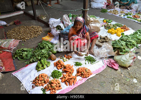 Dhaka, Bangladesh. 17th November 2016. A Bangladeshi Woman vegetable vendors wait for customer at Karwan Bazar kitchen market in Dhaka, Bangladesh.  Karwan Bazar is one of the largest wholesale Kitchen marketplaces in Dhaka city. It is also one of the largest Kitchen marketplaces in South Asia. As of 2002, the market had 1255 stores, out of which 55 were owned by the Dhaka City Corporation. In 2002, the wholesale market has a daily revenue of 50 million Bangladeshi taka. © Mamunur Rashid/Alamy Live News Stock Photo