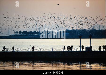 Qingdao, China's Shandong Province. 10th Jan, 2017. Tourists walk on the Pier in Qingdao, east China's Shandong Province, Jan. 10, 2017. © Wang Haibin/Xinhua/Alamy Live News Stock Photo