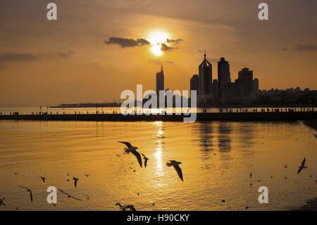 Qingdao, China's Shandong Province. 10th Jan, 2017. Birds fly at the coastal area in Qingdao, east China's Shandong Province, Jan. 10, 2017. © Wang Haibin/Xinhua/Alamy Live News Stock Photo