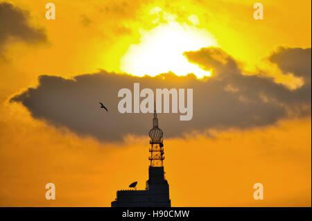 Qingdao, China's Shandong Province. 10th Jan, 2017. A bird flies at the coastal area in Qingdao, east China's Shandong Province, Jan. 10, 2017. © Wang Haibin/Xinhua/Alamy Live News Stock Photo