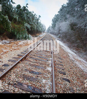 Old railroad tracks going through a forest with ice Stock Photo