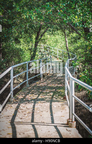 Nature walkway inside wetland near beach has many old leaves on floor covered by green mangrove tree on sunny day. Stock Photo