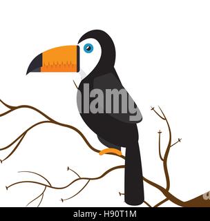 toucan parrot brazil on branch vector illustration eps 10 Stock Vector