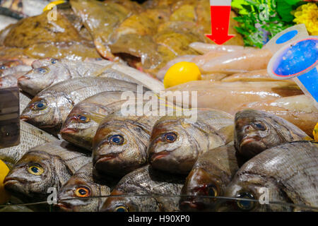 Various fish on sale in a French market in Dijon, Burgundy, France. Stock Photo