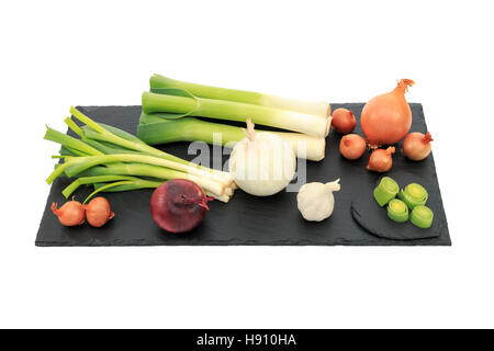 Onion family, leeks, shallots, brown, white and purple onions, spring onions, garlic on black slate board isolated on white back Stock Photo