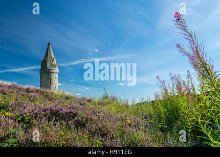 hartshead pike oldham saddleworth landscape summertime united kingdom blue sky heather tower folly Stock Photo