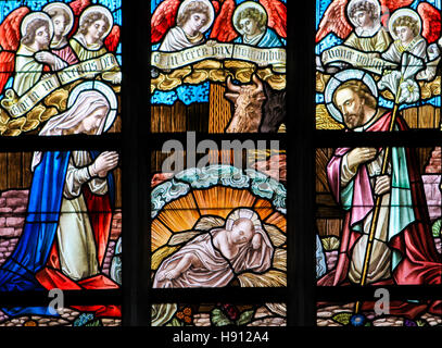 Stained Glass window depicting a Nativity Scene at Christmas in the Church of Alsemberg, Belgium. Stock Photo