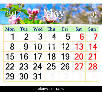 calendar for May 2017 with pink buds of blooming apple tree Stock Photo