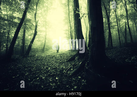 scary forest landscape with man on dark path Stock Photo