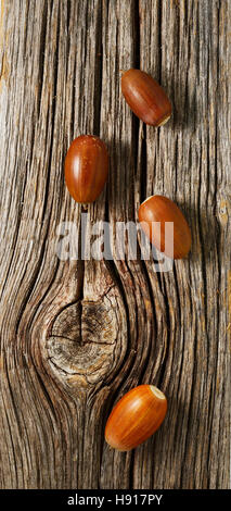 ripe acorns on a wooden background, still life Stock Photo