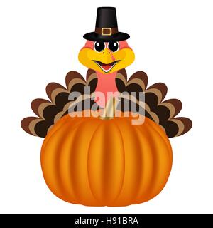 Turkey in Peligrin hat on Thanksgiving Day looks out from behind Stock Vector