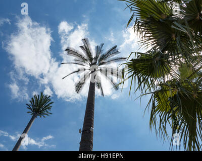 Disguised radio and telephone communication masts and aerials in Morocco, North Africa Stock Photo