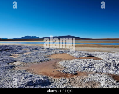 Bolivia, Potosi Departmant, Sur Lipez Province, Eduardo Avaroa Andean Fauna National Reserve, Landscape of the Hedionda Lagoon. Stock Photo