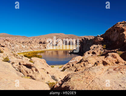 Bolivia, Potosi Departmant, Nor Lipez Province, Valle de las Rocas, Landscape of the Laguna Negra. Stock Photo