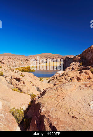 Bolivia, Potosi Departmant, Nor Lipez Province, Valle de las Rocas, Landscape of the Laguna Negra. Stock Photo