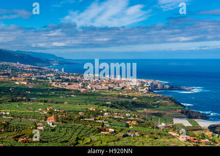 Puerto de la Cruz Tenerife Stock Photo