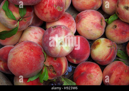 Farm fresh organic peaches with green stems and leaves in market display Stock Photo