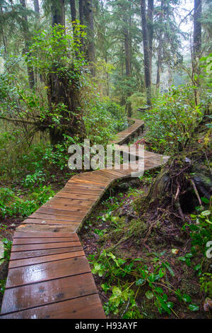 Combers Beach Trail, Pacific Rim National Park, Tofino, Vancouver Island, British Columbia, Canada Stock Photo
