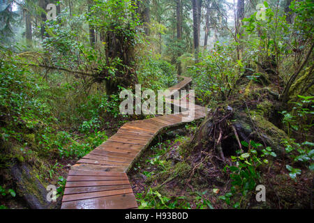 Combers Beach Trail, Pacific Rim National Park, Tofino, Vancouver Island, British Columbia, Canada Stock Photo
