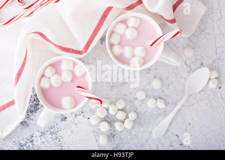 Peppermint hot chocolate with candy canes Stock Photo