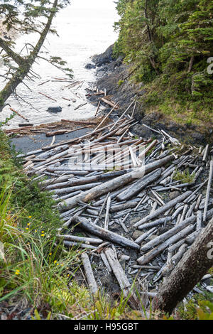 Rocks washed ashore on beach by ocean Stock Photo - Alamy