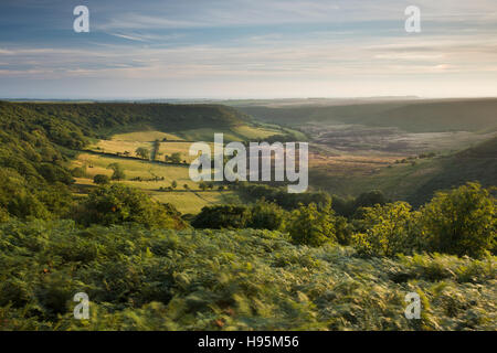Evening summer sunlight on the Hole of Horcum, a natural landscape feature -North York Moors National Park, Ryedale, England. Stock Photo