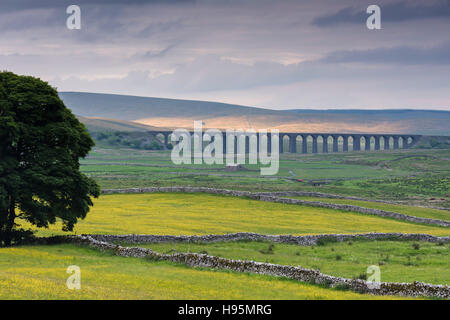 Springtime evening view across scenic Ribblesdale, with buttercups in meadows and the Ribblehead Viaduct - Yorkshire, GB, UK. Stock Photo
