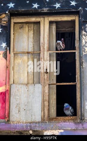 Pigeons perched on broken window frame in derelict building which has been painted with a colorful mural. Stock Photo