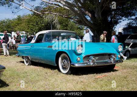 Ford Thunderbird 1957 at Naples-Marco Island Region Show, Florida Stock Photo