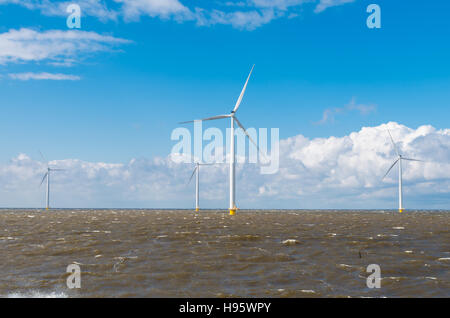 offshore windmill farm in the IJsselmeer at Urk, Netherlands Stock Photo