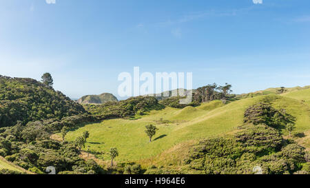 Cape Farewell Nature Reserve in New Zealand's South Island. Stock Photo