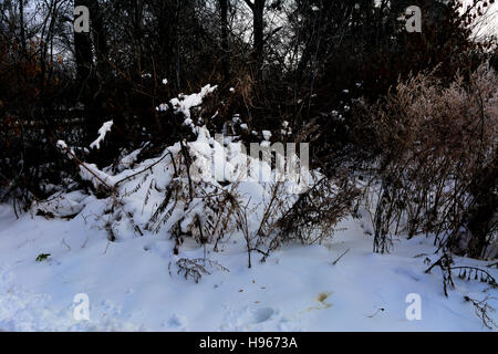 The first snow fell that cleared grader Stock Photo