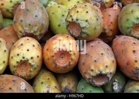 Fresh Opuntia ficus-indica (Indian fig, Prickly pear) cactus fruits sale on retail market stall display, close up Stock Photo