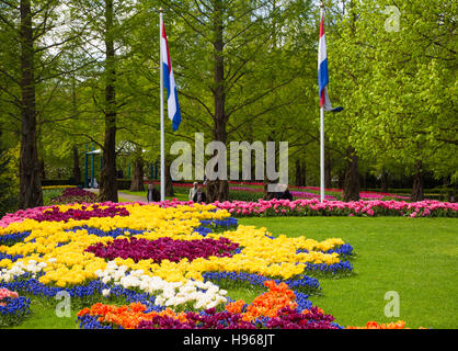Colorful tulips in the Keukenhof garden, Holland Stock Photo