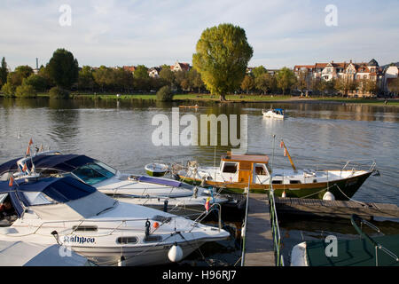 Sport boats on the banks of Neckar River, view across the river to Neuenheim district, Heidelberg, Baden-Wuerttemberg, Germany Stock Photo